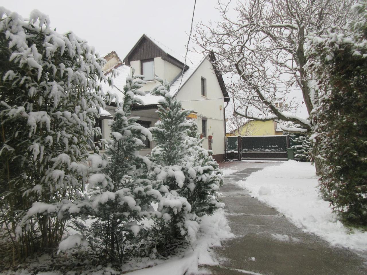 Sissi Residence With Free Parking Lot Budapest Exterior photo